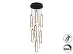 Lámpara de techo grande Colette 14 luces negro y oro rosa